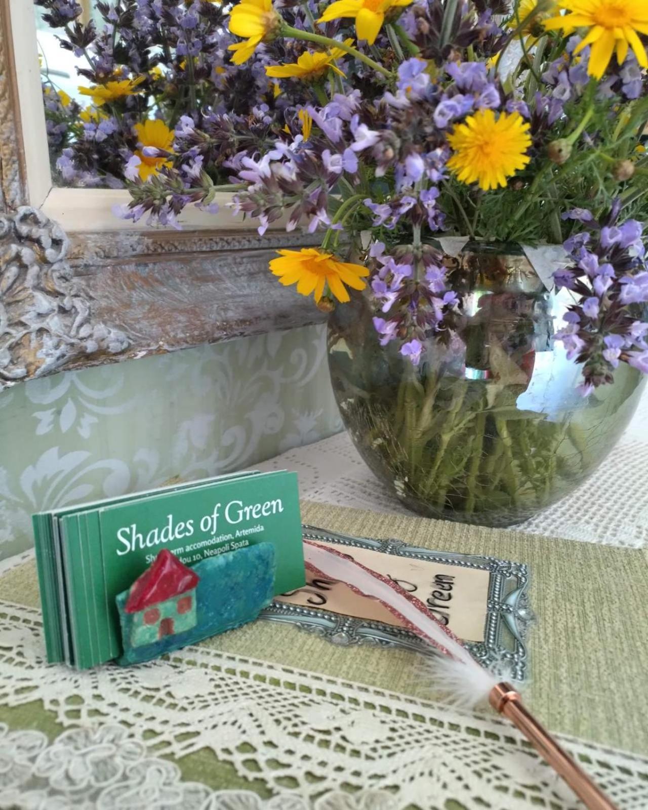 Shades Of Green أرتيميدا المظهر الخارجي الصورة